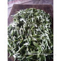 Green tea wholesaler usa